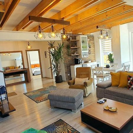 Hoobee Home & Rooftop Terrace Târgu-Mureş Eksteriør billede