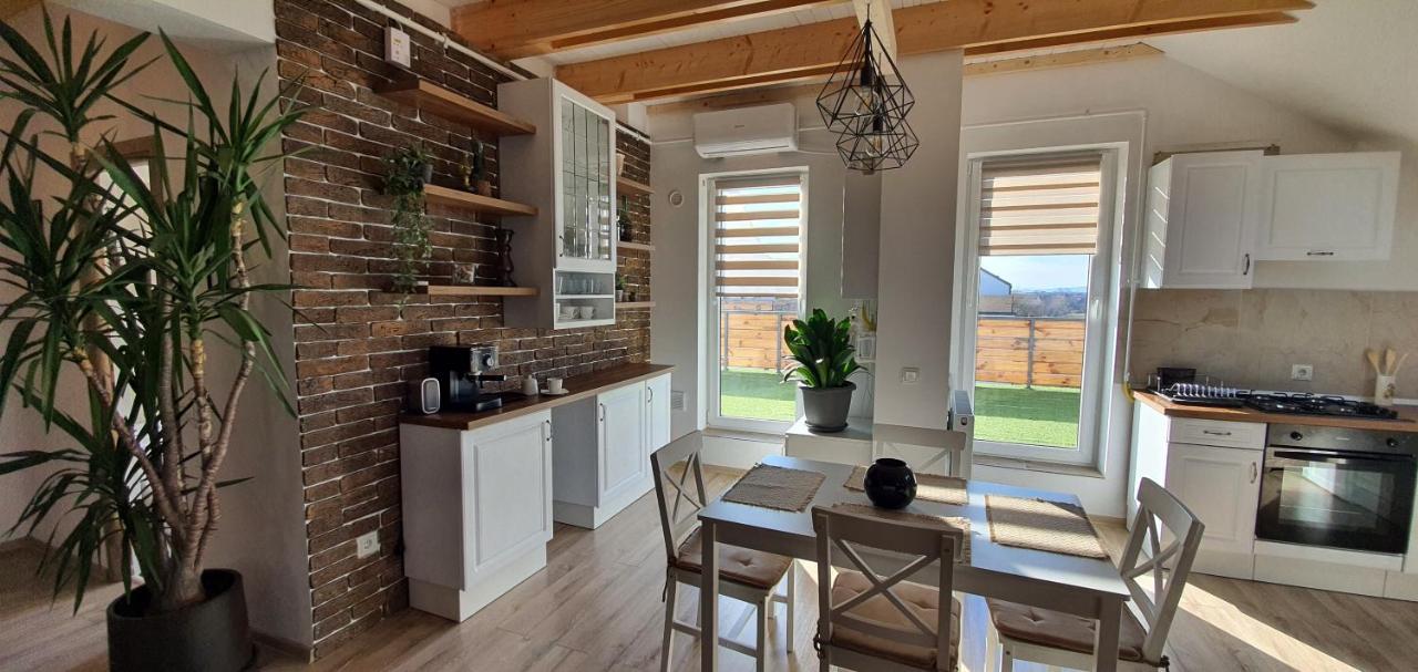 Hoobee Home & Rooftop Terrace Târgu-Mureş Eksteriør billede