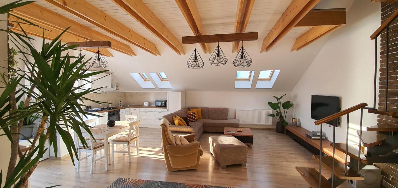 Hoobee Home & Rooftop Terrace Târgu-Mureş Eksteriør billede