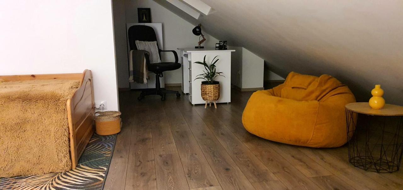 Hoobee Home & Rooftop Terrace Târgu-Mureş Eksteriør billede