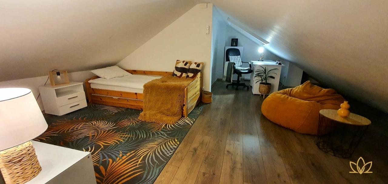 Hoobee Home & Rooftop Terrace Târgu-Mureş Eksteriør billede